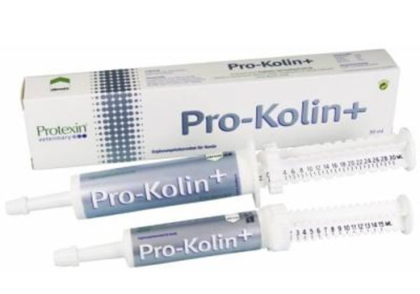 Прокалин. Проколин пробиотик. Проколин шприц 30мл. Проколин 15 мл. Pro Kolin для собак.